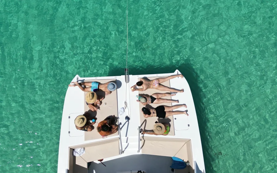 Looking down on the bow nets of a catamaran with passengers sitting over green water