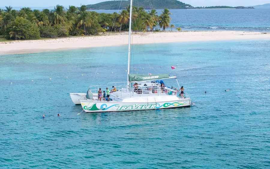 A green and white catamaran at anchor off a white beach with a green island behind