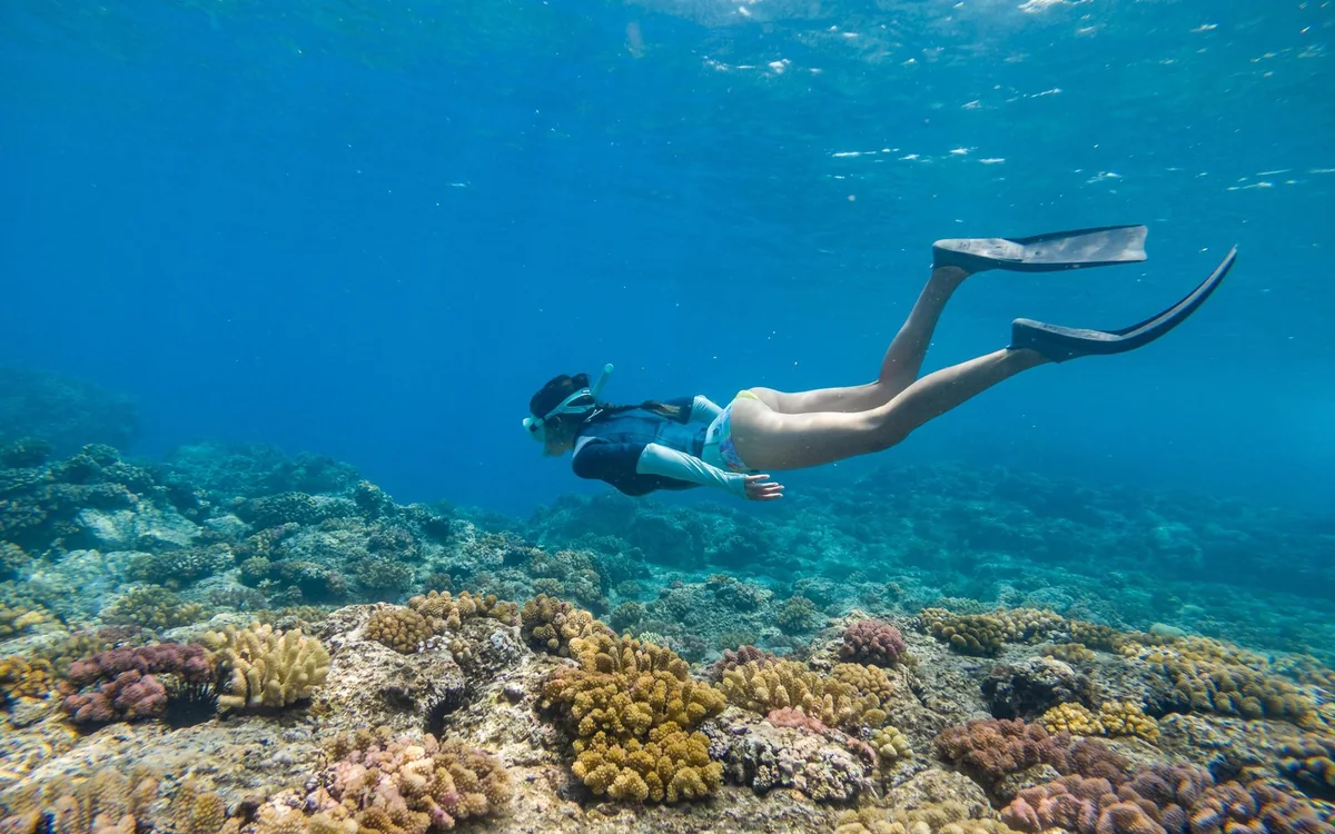 A snorkeller in fins diving down over a shallow coral reef in clear blue water