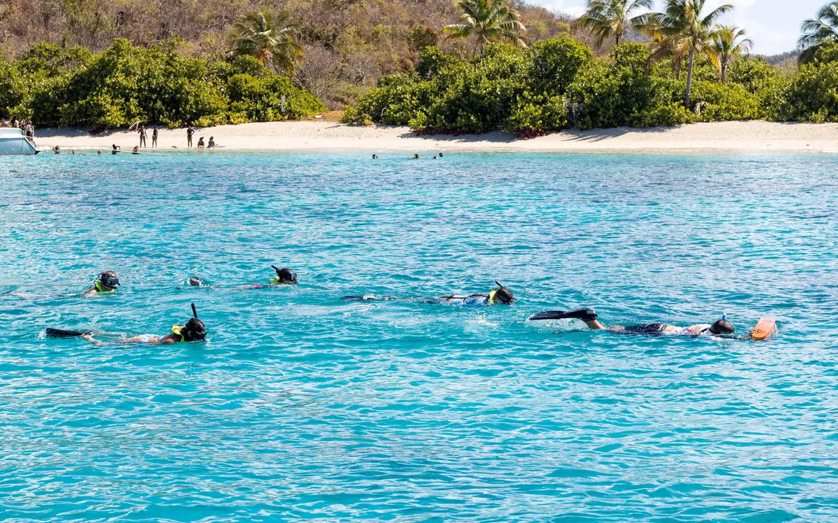 People floating and snorkelling in shallow turquoise water off a palm-backed beach