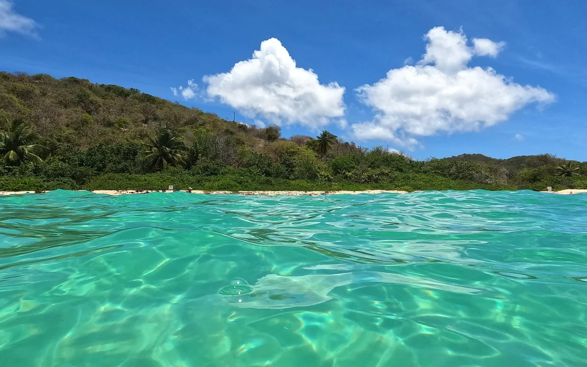 A green headland and a white sand beach seen from the water, with clear shallows in front